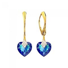 Sidabriniai auskarai su Swarovski kristalais DiamondSky Cute Valentine (Bermuda Blue) DS02A557 kaina ir informacija | Auskarai | pigu.lt