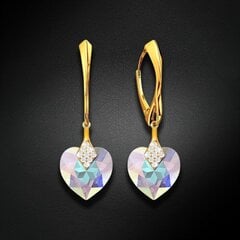 Sidabriniai auskarai su Swarovski kristalais DiamondSky Cute Valentine (Aurora Borealis) DS02A559 kaina ir informacija | Auskarai | pigu.lt