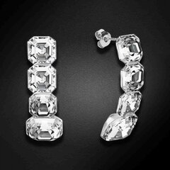 Sidabriniai auskarai su Swarovski kristalais DiamondSky Imperial DS02A565 kaina ir informacija | Auskarai | pigu.lt