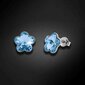 Sidabriniai auskarai Diamond Sky Sunny Flower (Aquamarine) DS02A571 kaina ir informacija | Auskarai | pigu.lt