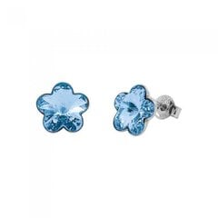 Серебряные серьги "Солнечный Цветок (Aquamarine)" с кристаллами Swarovski™ DS02A571 цена и информация | Серьги | pigu.lt