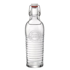 Стеклянная бутылка Bormioli Rocco Frigoverre Future Прозрачный Cтекло 1 L цена и информация | Кухонная утварь | pigu.lt