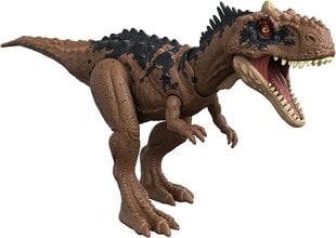 Dinozauro figūrėlė Rajasaurus Mattel Jurassic World HDX35 цена и информация | Игрушки для мальчиков | pigu.lt