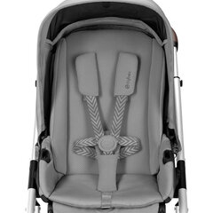 Спортивная коляска Cybex Talos S Lux, silver Lava Grey цена и информация | Коляски | pigu.lt