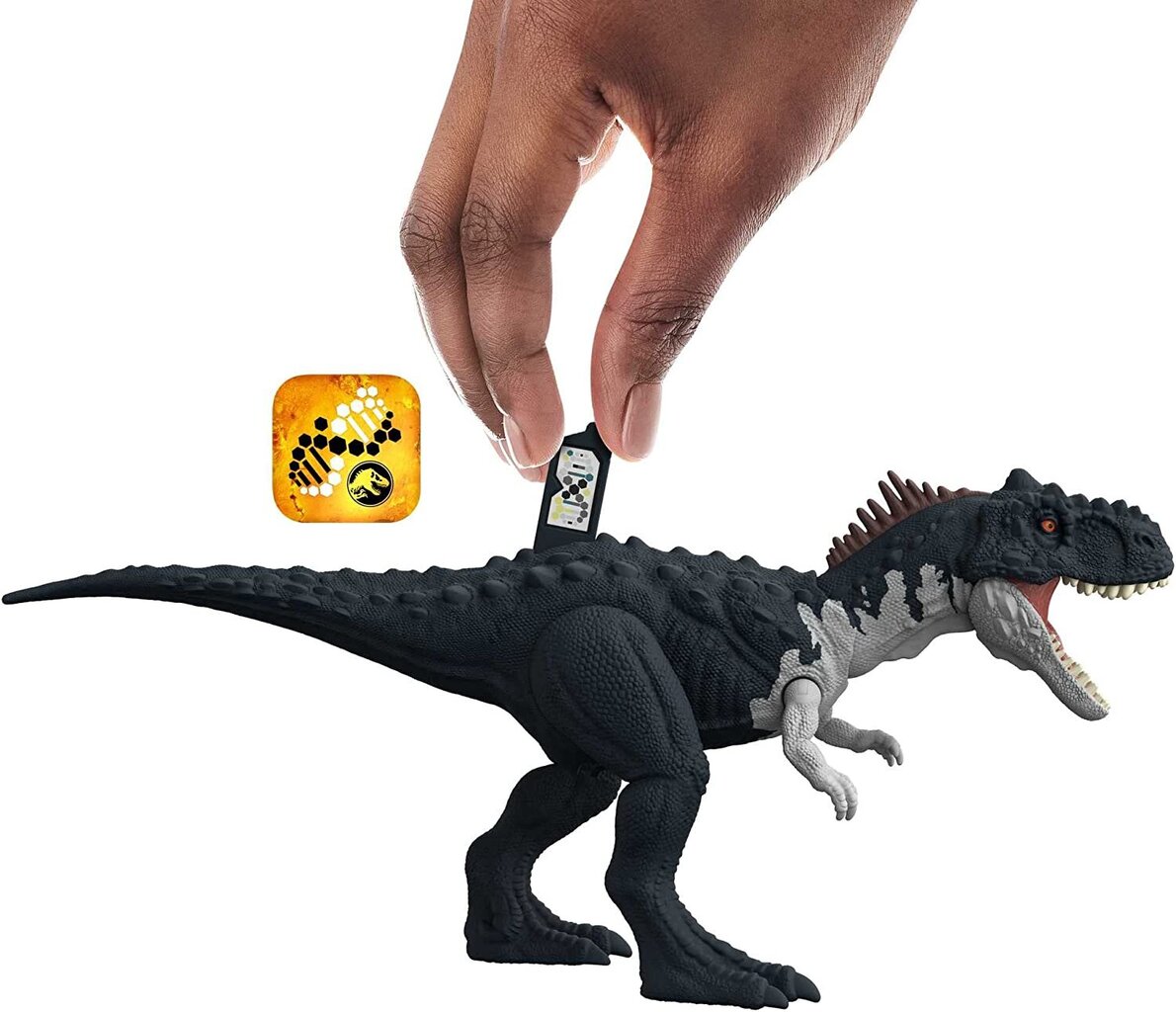 Dinozauro figūrėlė Rajasaurus Mattel Jurassic World HDX45 kaina ir informacija | Žaislai berniukams | pigu.lt