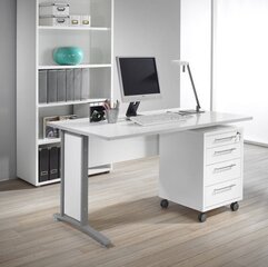 Письменный стол Aatrium, 120х80 см, белый цена и информация | Компьютерные, письменные столы | pigu.lt