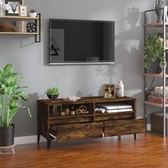 vidaXL Televizoriaus spintelė, dūminė, 100x34,5x44,5cm, mediena kaina ir informacija | TV staliukai | pigu.lt