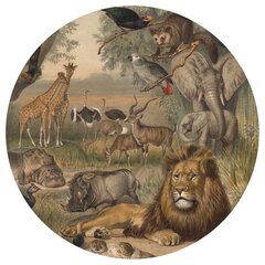 Fototapetai WallArt Animals of Africa цена и информация | Фотообои с инструментом и клеем - Бежевые листья эвкалипта, 400x280 см | pigu.lt