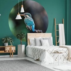 Fototapetai WallArt The Kingfisher kaina ir informacija | Fototapetai | pigu.lt