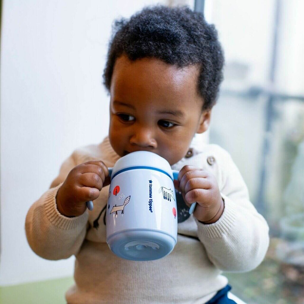 Mokomasis puodelis Tommee Tippee sippee, 6m+, 300 ml kaina ir informacija | Buteliukai kūdikiams ir jų priedai | pigu.lt