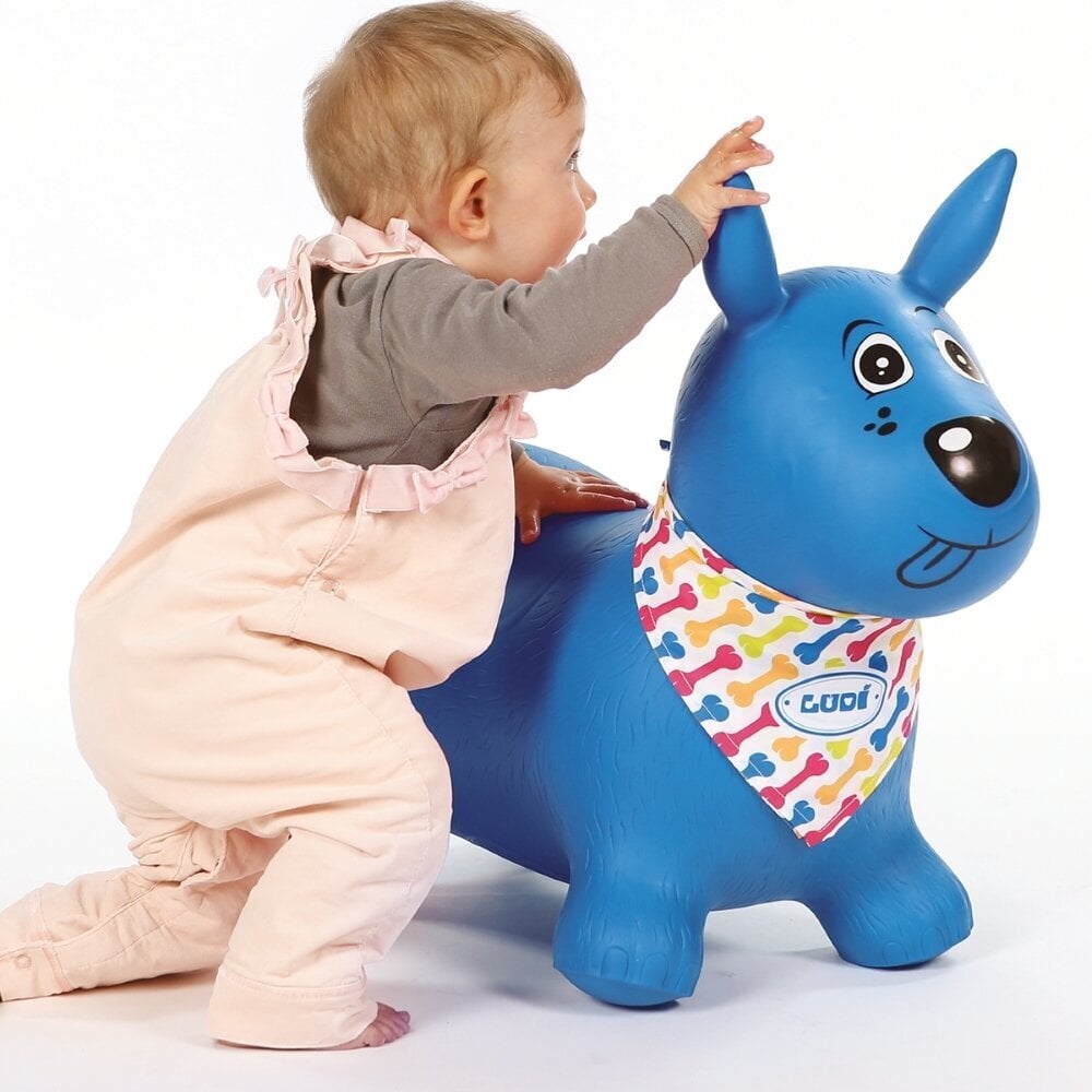 Šokliukas Ludi, mėlynas цена и информация | Žaislai kūdikiams | pigu.lt