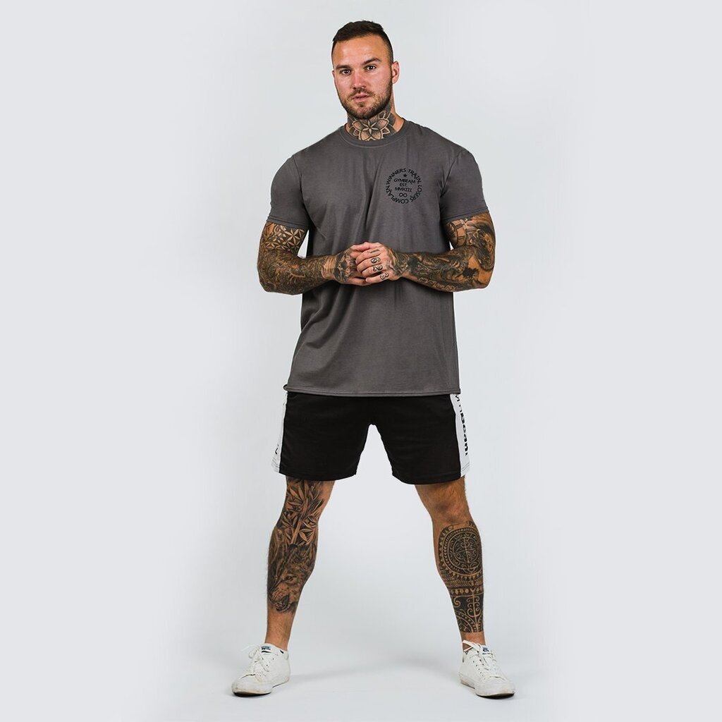 Marškinėliai vyrams GymBeam, pilki kaina ir informacija | Sportinė apranga vyrams | pigu.lt