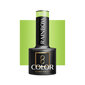 Hibridinis nagų lakas Ocho Nails Color Rainbow, R09 žalia, 5 g kaina ir informacija | Nagų lakai, stiprintojai | pigu.lt