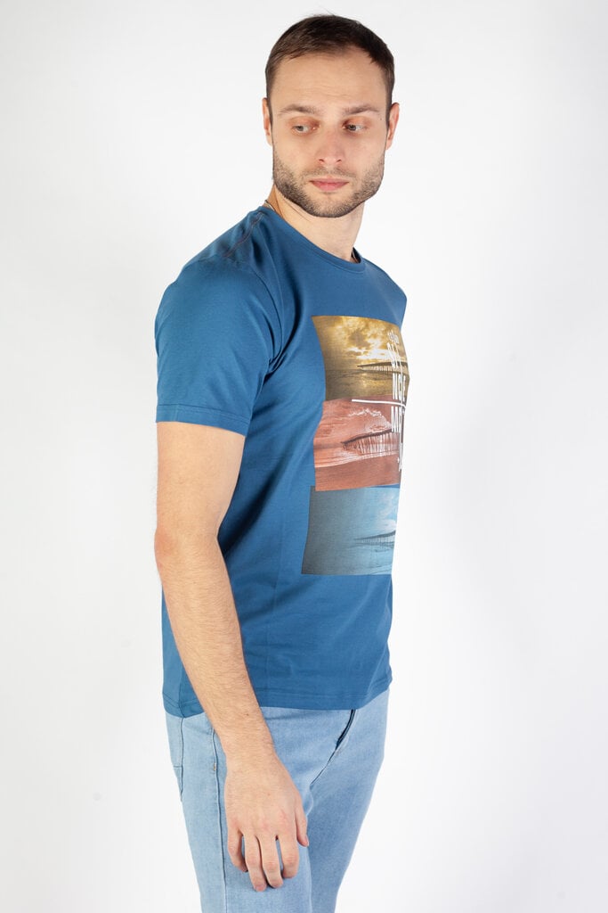 Marškinėliai vyrams Mcl, mėlyni цена и информация | Vyriški marškinėliai | pigu.lt