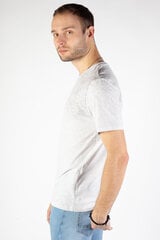 Marškinėliai vyrams Mcl, pilki kaina ir informacija | Vyriški marškinėliai | pigu.lt