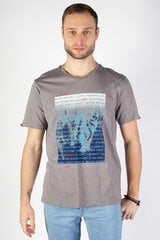 Marškinėliai vyrams Mcl, pilki kaina ir informacija | Vyriški marškinėliai | pigu.lt