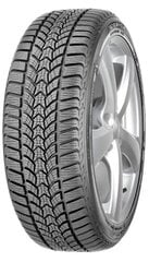 Debica FRIGO HP 225/45R17 91 H FP цена и информация | Зимние шины | pigu.lt