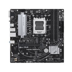 Asus Prime A620M-A-CSM kaina ir informacija | Pagrindinės plokštės | pigu.lt