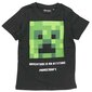 Marškinėliai berniukams Minecraft Creeper kaina ir informacija | Marškinėliai berniukams | pigu.lt