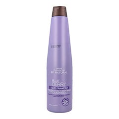 Šampūnas Placenta Life Be Natural Blueberry Silver, 350 ml kaina ir informacija | Šampūnai | pigu.lt