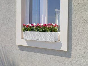 Vazonas Lechuza Balconera Cottage, 50x19x19 cm цена и информация | Вазоны | pigu.lt