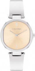 Laikrodis vyrams Calvin Klein 1685227 kaina ir informacija | Vyriški laikrodžiai | pigu.lt