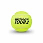Lauko teniso kamuoliukai Dunlop Brilliance 601326, 3 vnt, geltoni цена и информация | Lauko teniso prekės | pigu.lt