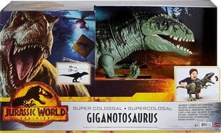 Dinozauro figūrėlė Didysis Giganotosaurus Mattel Jurassic World GWD68 цена и информация | Игрушки для мальчиков | pigu.lt