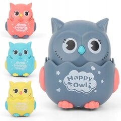 Сенсорные горки Happy Owl, 1шт. цена и информация | Развивающие игрушки | pigu.lt