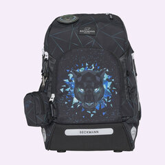 Школьный рюкзак  Air Flx Panther 120158a Beckmann цена и информация | Школьные рюкзаки, спортивные сумки | pigu.lt