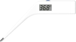 Термометр ветеринарный Scala SC 212 белый цена и информация | Средства по уходу за животными | pigu.lt
