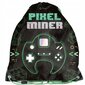 Mokyklinės kuprinės rinkinys Paso Pixel Miner kaina ir informacija | Kuprinės mokyklai, sportiniai maišeliai | pigu.lt