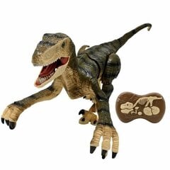 Динозавр Lexibook Velociraptor - Remote Control Simulation (EN) цена и информация | Игрушки для мальчиков | pigu.lt