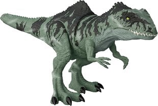 Dinozauro figūrėlė Giganotosaurus Mattel Jurassic World GYC94 цена и информация | Игрушки для мальчиков | pigu.lt