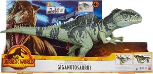 Dinozauro figūrėlė Giganotosaurus Mattel Jurassic World GYC94 цена и информация | Игрушки для мальчиков | pigu.lt