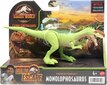 Dinozauro figūrėlė Monolophosaurus Mattel Jurassic World HCL86 kaina ir informacija | Žaislai berniukams | pigu.lt