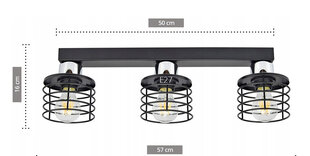 Luxolar подвесной потолочный светильник цена и информация | Люстры | pigu.lt