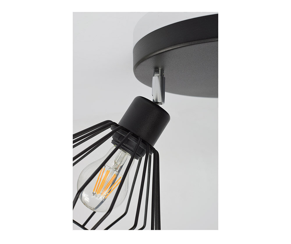 Luxolar pakabinamas šviestuvas Edison kaina ir informacija | Pakabinami šviestuvai | pigu.lt