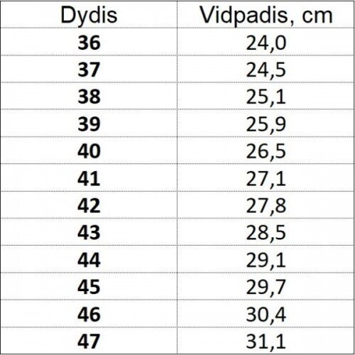 Darbiniai batai 219 S1, pilka kaina ir informacija | Darbo batai ir kt. avalynė | pigu.lt