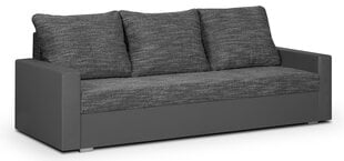 Trivietė sofa Lion, pilka kaina ir informacija | Sofos | pigu.lt