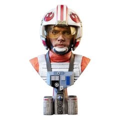 Star Wars IV 3D 1/2 Luke'as Skywalkeris (X-Wing Pilot) цена и информация | Атрибутика для игроков | pigu.lt