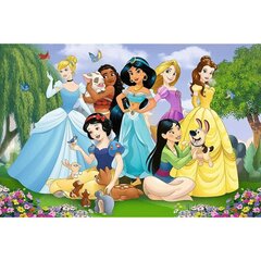 Dėlionė su Disney princesėm Trefl XL Super Shape, 104 d. kaina ir informacija | Dėlionės (puzzle) | pigu.lt