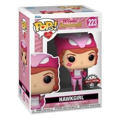 Funko Pop! DC Comics - Hawkgirl kaina ir informacija | Žaidėjų atributika | pigu.lt