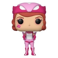 Funko Pop! DC Comics - Hawkgirl kaina ir informacija | Žaidėjų atributika | pigu.lt