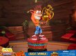 Crash Team Racing Nitro-Fueled kaina ir informacija | Žaidėjų atributika | pigu.lt