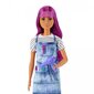 Lėlė Barbie Grožio salono stilistė kaina ir informacija | Žaislai mergaitėms | pigu.lt