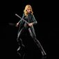 Marvel Legends Series Disney Plus Sharon Carter цена и информация | Žaidėjų atributika | pigu.lt