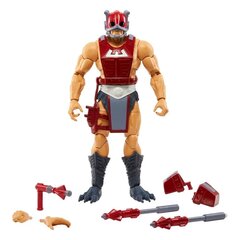 Figūrėlė Masters Of The Universe Masterverse Zodac,18 cm kaina ir informacija | Žaislai berniukams | pigu.lt