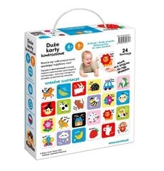 Большие контрастные карты для детей 6 и 9 месяцев + цена и информация | Развивающие игрушки | pigu.lt