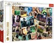 Dėlionė su Harry Potter Trefl, 2000 d. kaina ir informacija | Dėlionės (puzzle) | pigu.lt